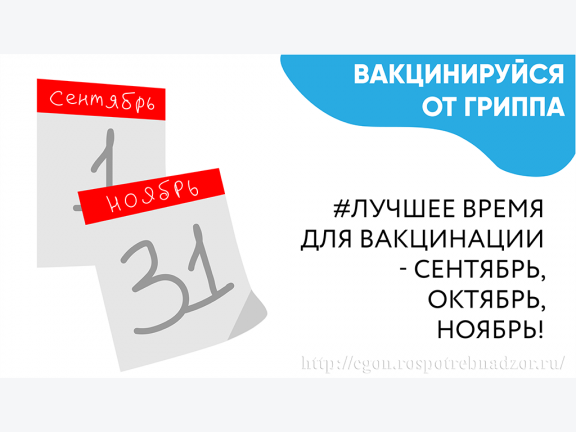 2019г Гид по вакцинации.